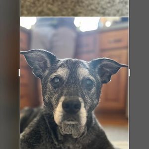 Meet your Posher, Joni